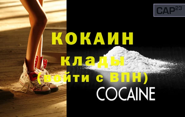 прущие грибы Покров