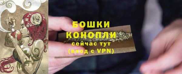 прущие грибы Покров