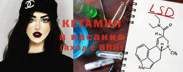 прущие грибы Покров