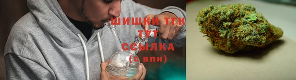 прущие грибы Покров