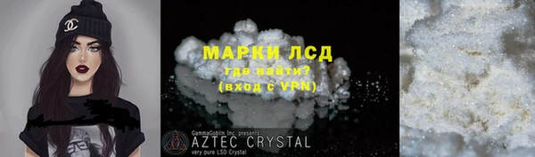 прущие грибы Покров