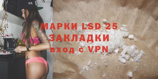 прущие грибы Покров