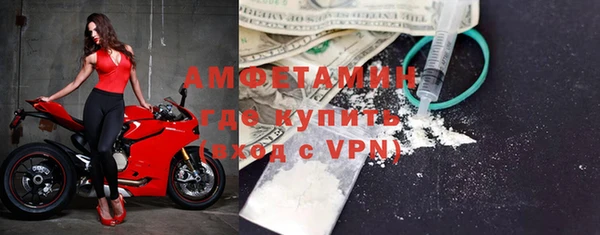 прущие грибы Покров