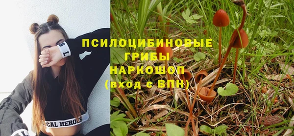 а пвп мука Покачи