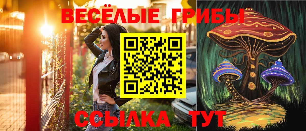 Галлюциногенные грибы Magic Shrooms  Вход с VPN  Галлюциногенные грибы Psilocybine cubensis  Феодосия 
