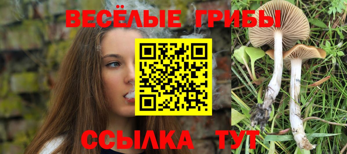 Галлюциногенные грибы MAGIC MUSHROOMS Феодосия